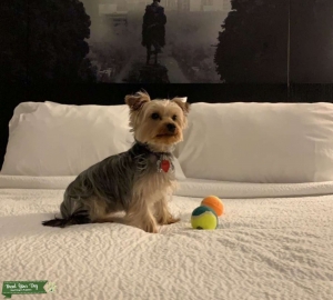 Looking to mate Listing Image