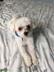 Looking for a girlfriend  Listing Image