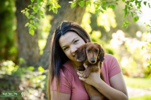 Longhair Red Miniature Dachshund Stud Listing Image