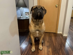 Want to see if he’s able  Listing Image