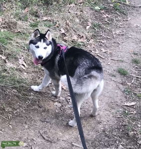 Female looking for Male companion Listing Image