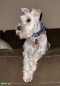 Breed  Listing Image