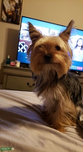 My sweet girl is ready to be a mommy Listing Image