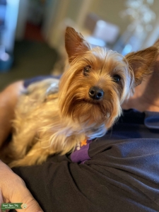Female looking for male Listing Image