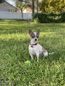 Looking for female Listing Image