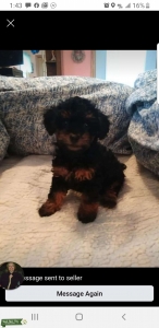 Looking for a partner Listing Image