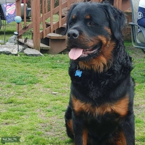 Looking for some love Listing Image