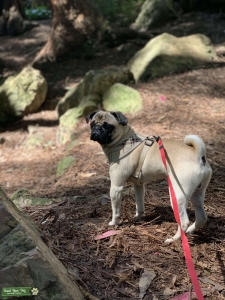Leo looking for a Girl Listing Image