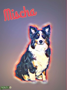 AKC Black Tri Spoiled Princess  Listing Image