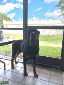 I have a stud Listing Image