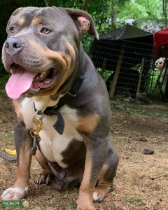 Stud!!! Listing Image