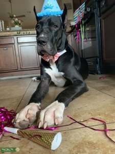 Bennie is looking for love  Listing Image