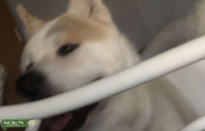 Looking for any female Listing Image