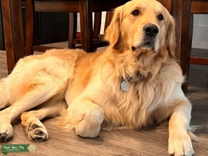 Hunter’s looking for a girlfriend Listing Image