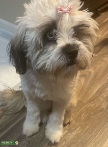 Looking for Male Listing Image