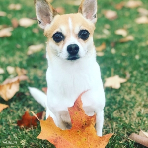 Looking for mate Listing Image