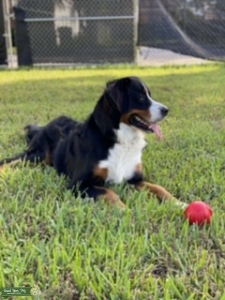 Stud looking for a girlfriend  Listing Image