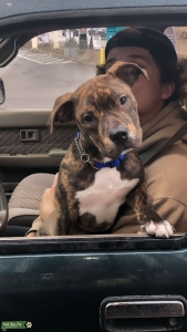 Looking for Female! Listing Image