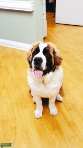George is ready  Listing Image