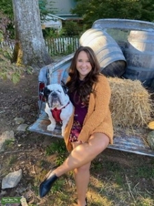 Male English Bulldog Stud Listing Image