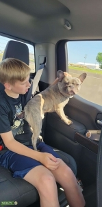Looking for a girlfriend  Listing Image