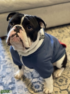 Stud OEB ready for his girlfriend  Listing Image