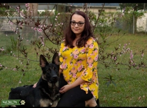 Black and Tan German Shepard Dog Listing Image