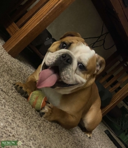 I’m chubby and I know it  Listing Image