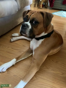 Stud Looking for Lover!  Listing Image