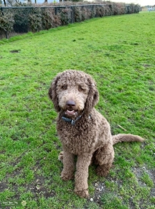 Handsome boy looking for love. Listing Image