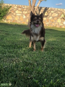Sweet young male  Listing Image