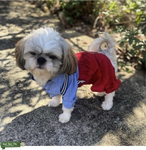 Ready to Love ❤️  Listing Image