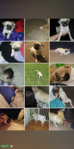 Looking for miss right  Listing Image