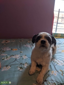 Oliver  Listing Image