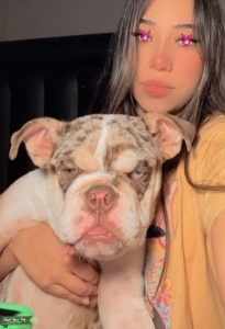 Buscando novia looking for girlfriend  Listing Image