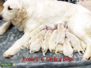 Beaautiful Experinced Mommy Listing Image