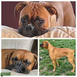 Stud looking to be a dad Listing Image