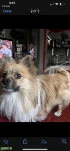 Breeder Listing Image