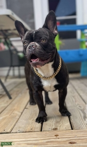 Come get some of Bigs Listing Image