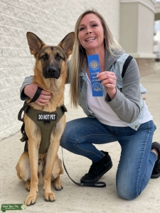 Service Dog Von Dansu German Shepard Listing Image
