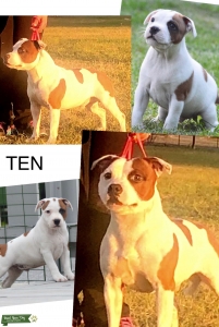 Ten Listing Image