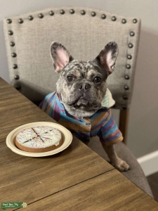 sweet boy looking for a sweet girl Listing Image