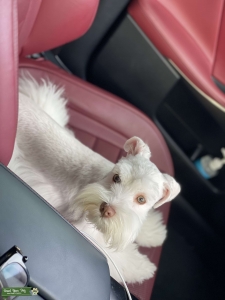 Looking For. A GF Listing Image