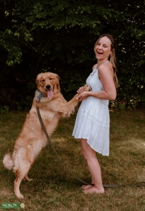 Golden Retriever Stud Listing Image