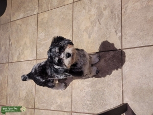 Handsome Boy!! Listing Image