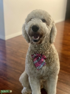 Handsome stud looking for a girlfriend Listing Image