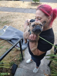 French bulldog Listing Image