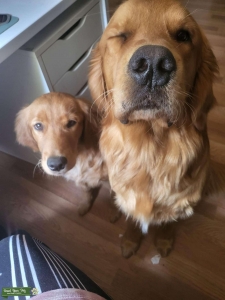 Sweet boy looking for lovin Listing Image