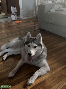 Pretty Girl Bella Listing Image