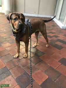 Stud looking for a mate Listing Image